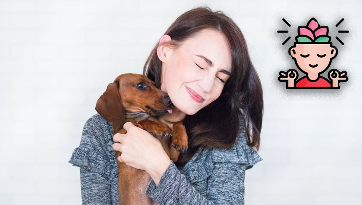 3 formas en las que tener un perro como mascota mejora tu vida según la ciencia