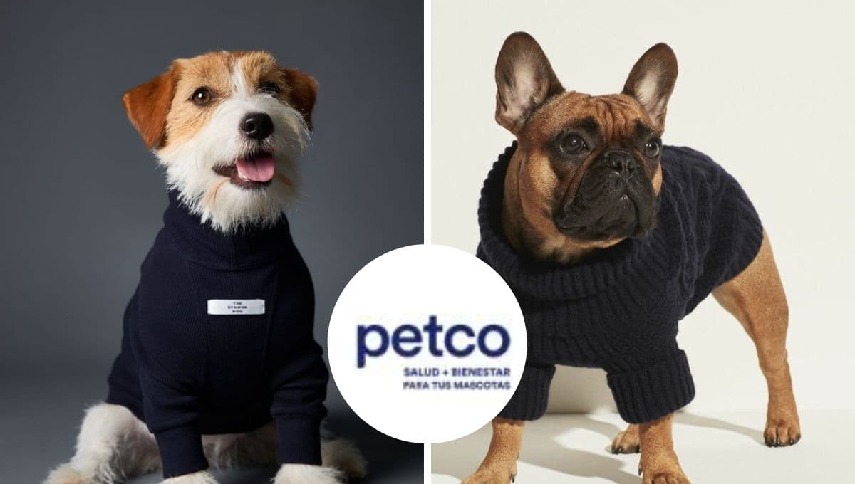Petco pone en oferta 3 suetercitos para perro: perfectos para estos tiempos de frío