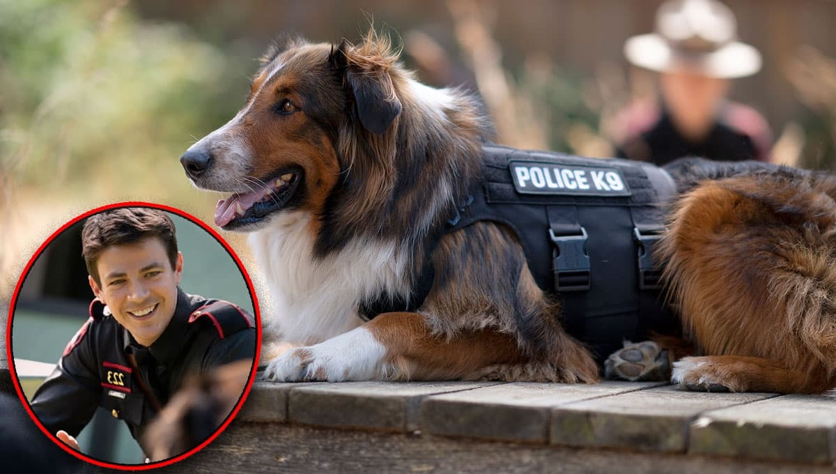 La película de un perro policía en Netflix basada en una historia REAL
