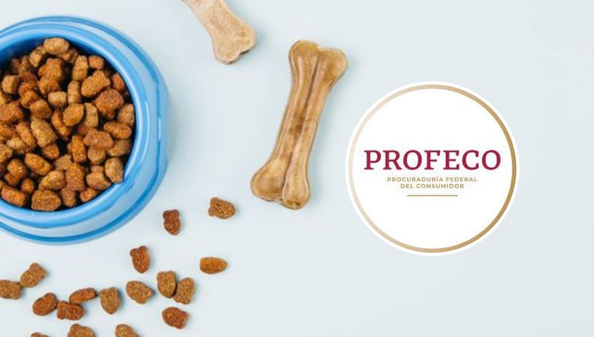 ¿Las croquetas para perro del Sams son de buena calidad? Esto dice la Profeco