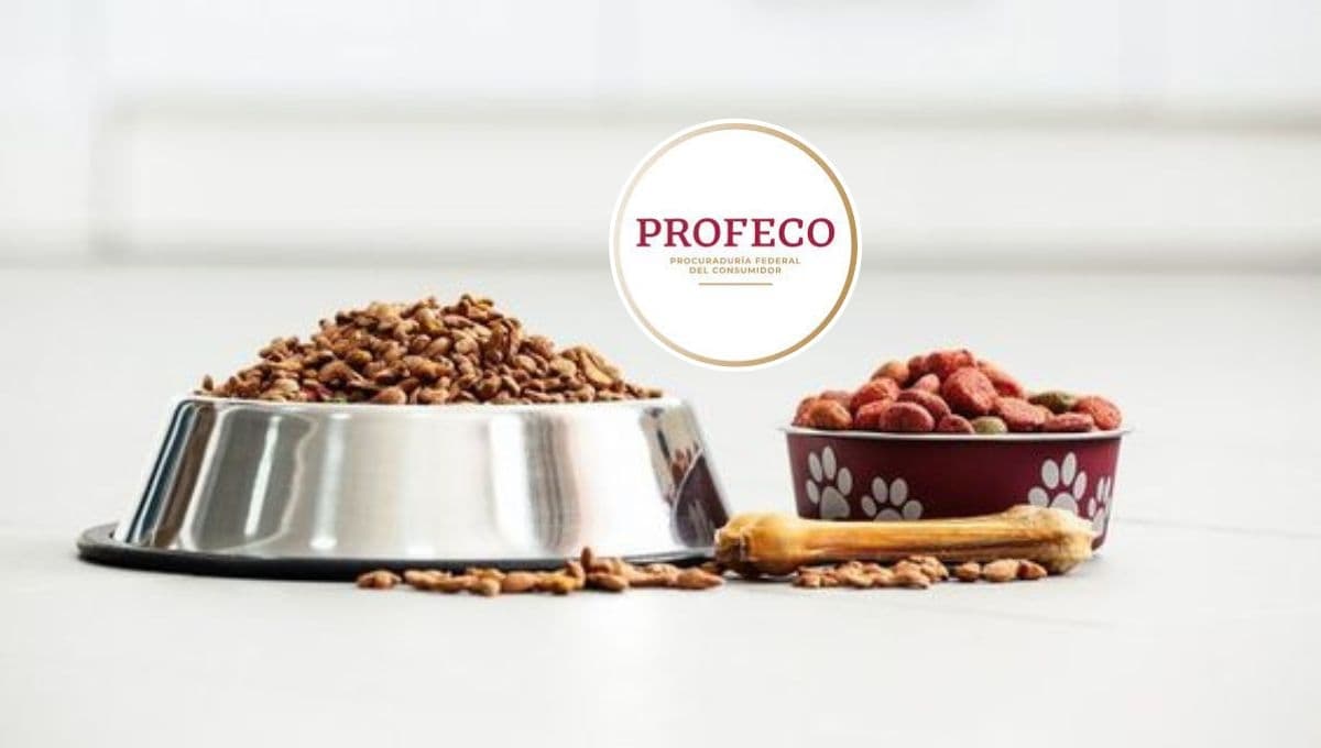 Ganador o Beneful, ¿qué croquetas son mejores?