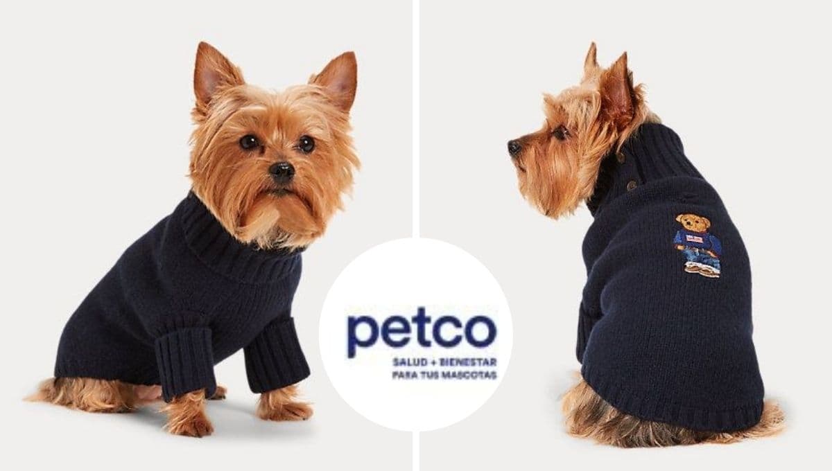 Petco pone en ofertón 3 suéteres para perro: son los más calientitos y resistentes