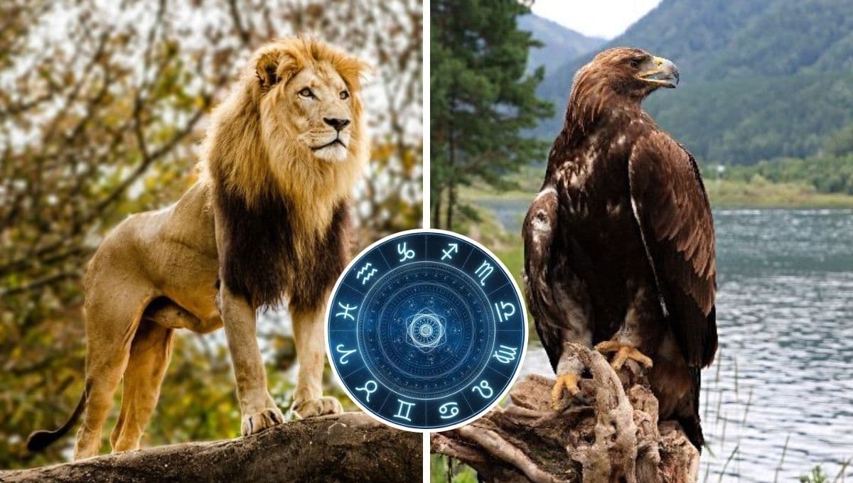 ¿Qué animal salvaje soy según mi signo zodiacal?
