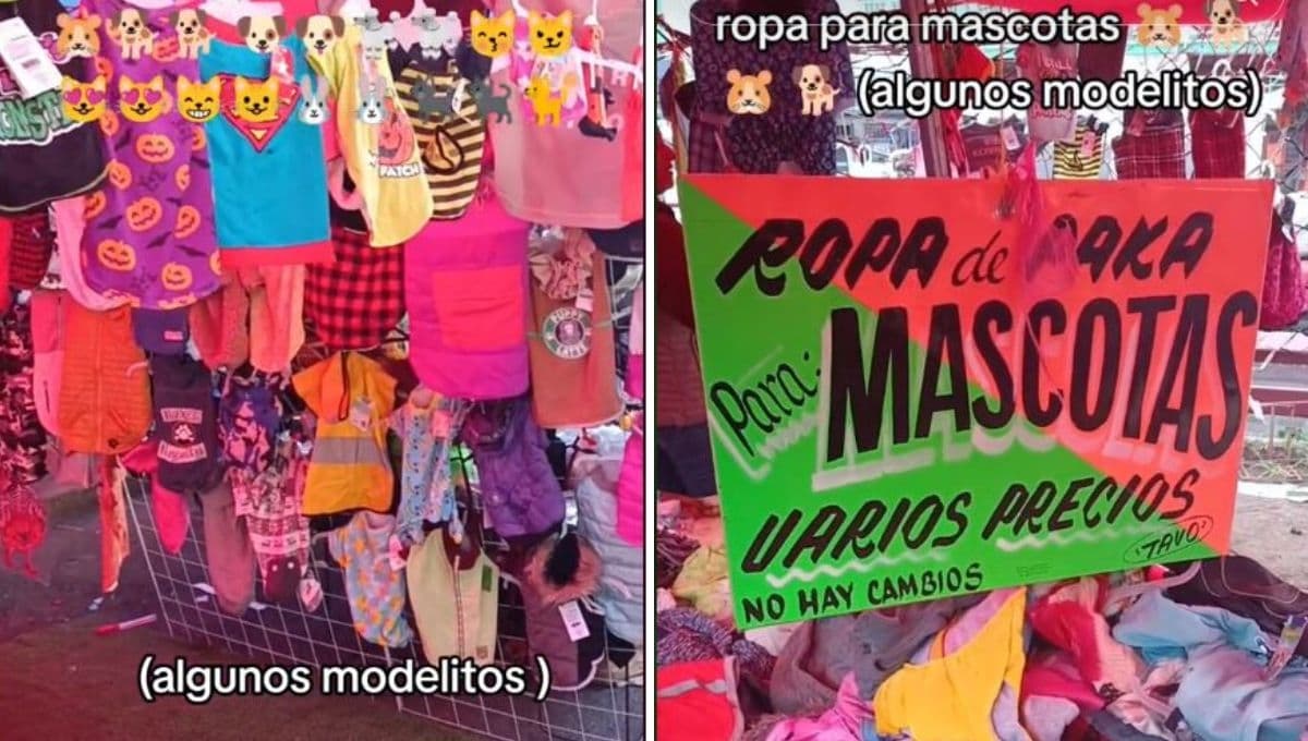 Paca de ropa para perros en CDMX: Dónde está, cómo llegar y qué venden