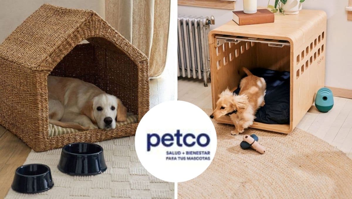 Petco pone hasta en 40% de descuento 3 casitas para perro: de las más resistentes y lindas