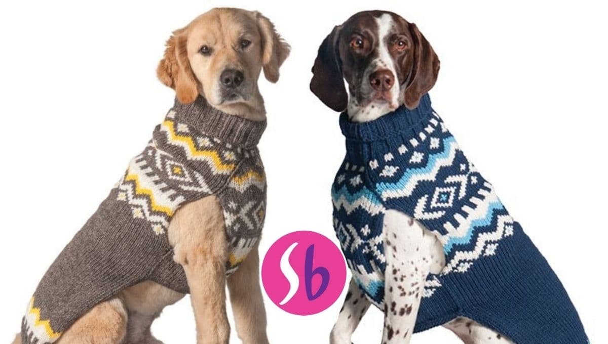 ¡Protégelos! Suburbia pone en oferta 3 suetercitos para perro que lo mantendrán bien abrigadito
