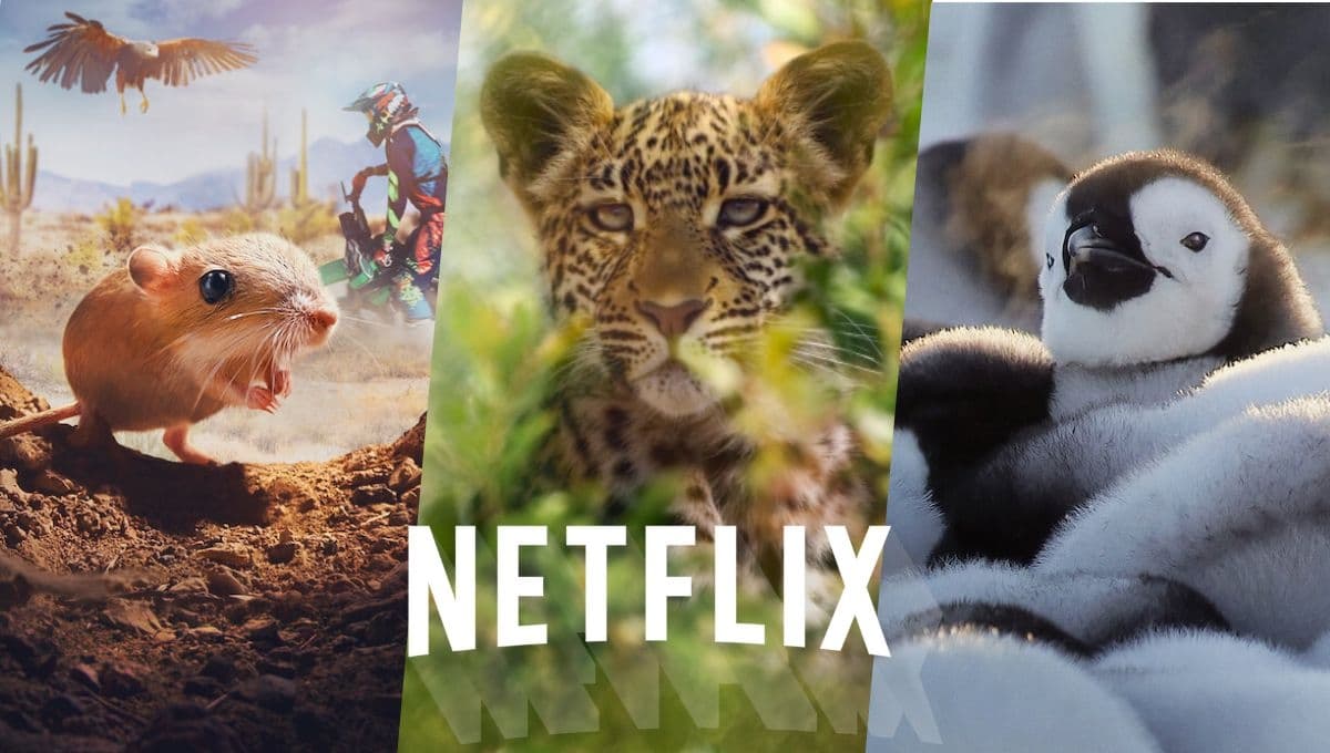3 series de animales en Netflix que nos enseñan lo más impactante de la naturaleza