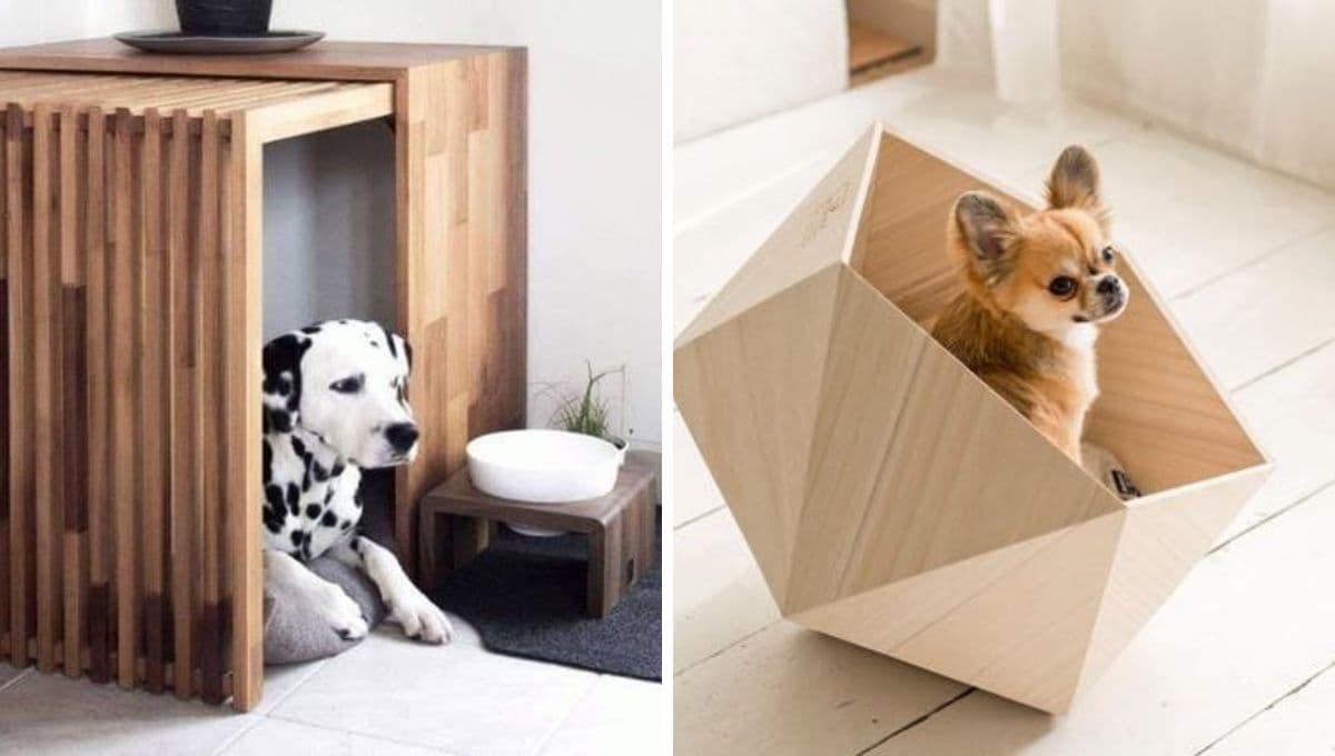¿Cómo mantener calientita la casa de mi perro?
