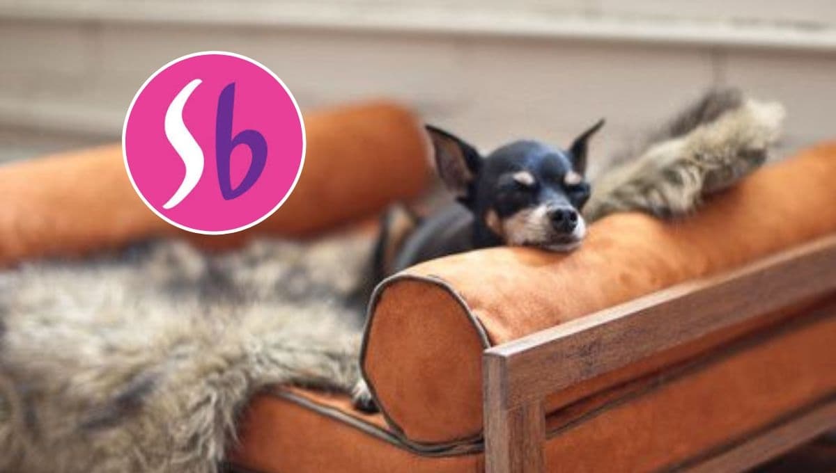 La camita para mascota más elegante y cómoda de todo Suburbia tiene ¡60% de descuento!