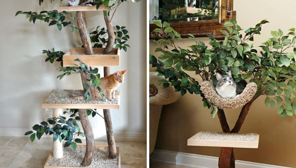 4 ideas de muebles rascadores para gatos que lo harán feliz