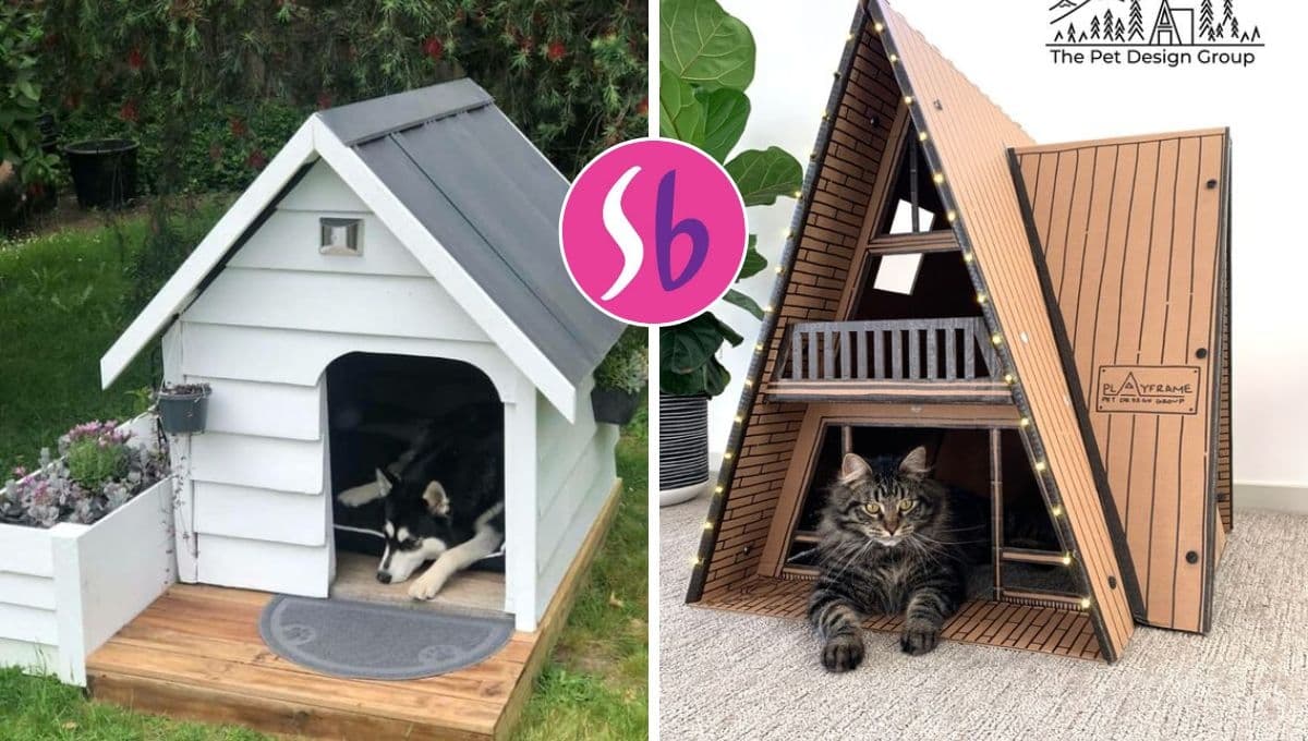 Suburbia pone a mitad de precio una de las casas para mascota más resistentes y lindas