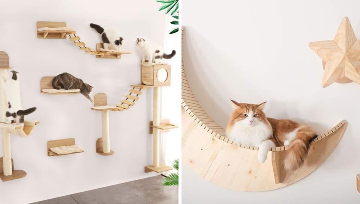 5 ideas de muebles de pared para gatos