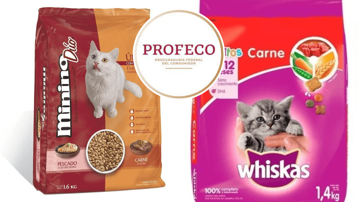 ¿Whiskas o Minino? Este es el MEJOR alimento para gatos según Profeco