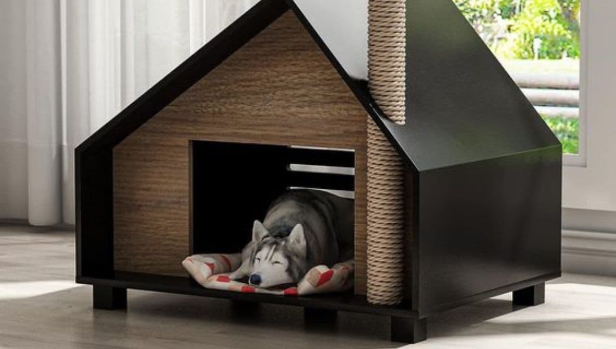 3 trucos para mantener calientita la casa de tu perrito en invierno