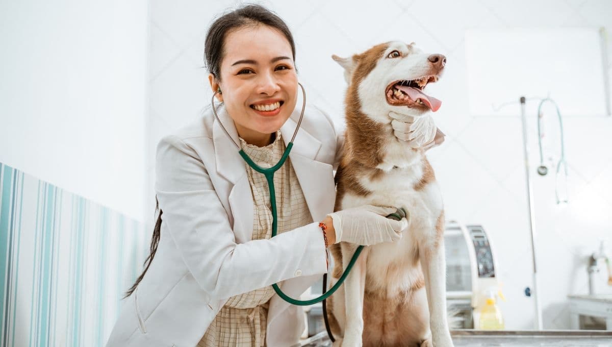 Día Internacional del Veterinario: 5 imágenes para felicitar al doctor de tu mascota