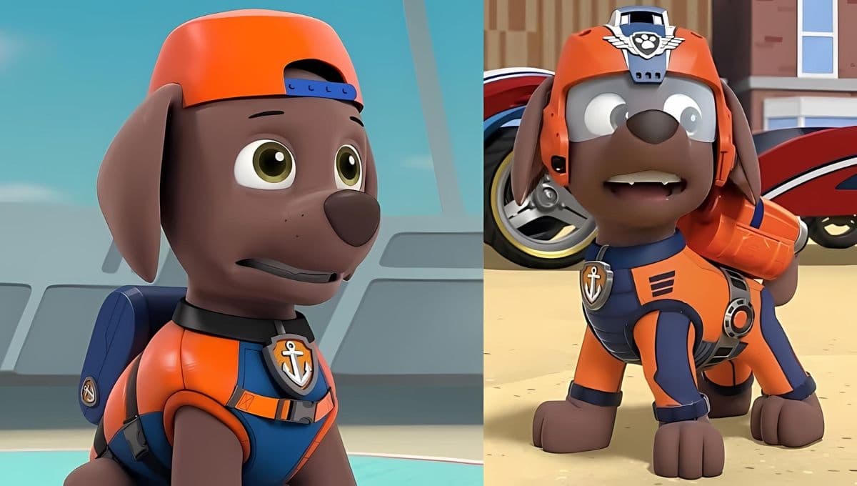 6 dibujos de Zuma de Paw Patrol para colorear e imprimir