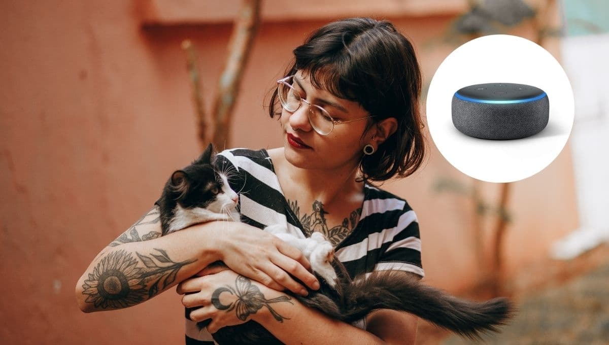 ¿Cómo activar el modo “Encuentra mi Gato” de Alexa? Recupera a tu gatito perdido