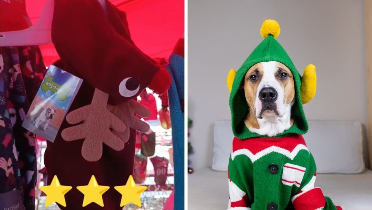 ¿Dónde está la ropa de paca para mascotas que se hizo viral en TikTok?