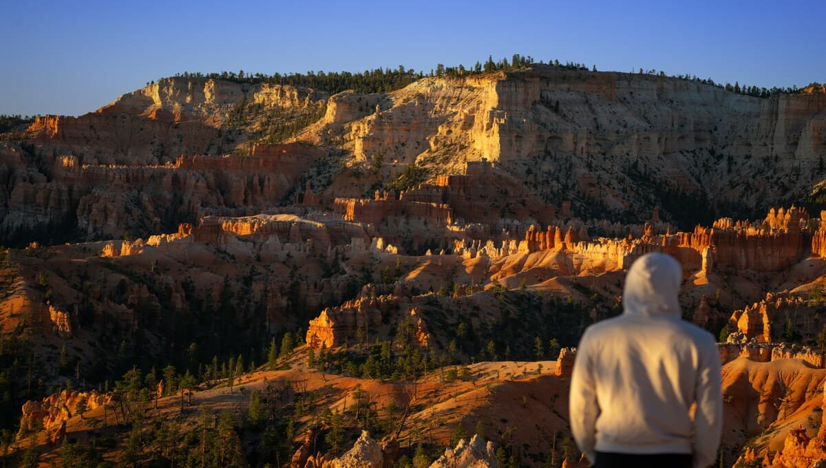 caída de un gato en el Cañón de Bryce