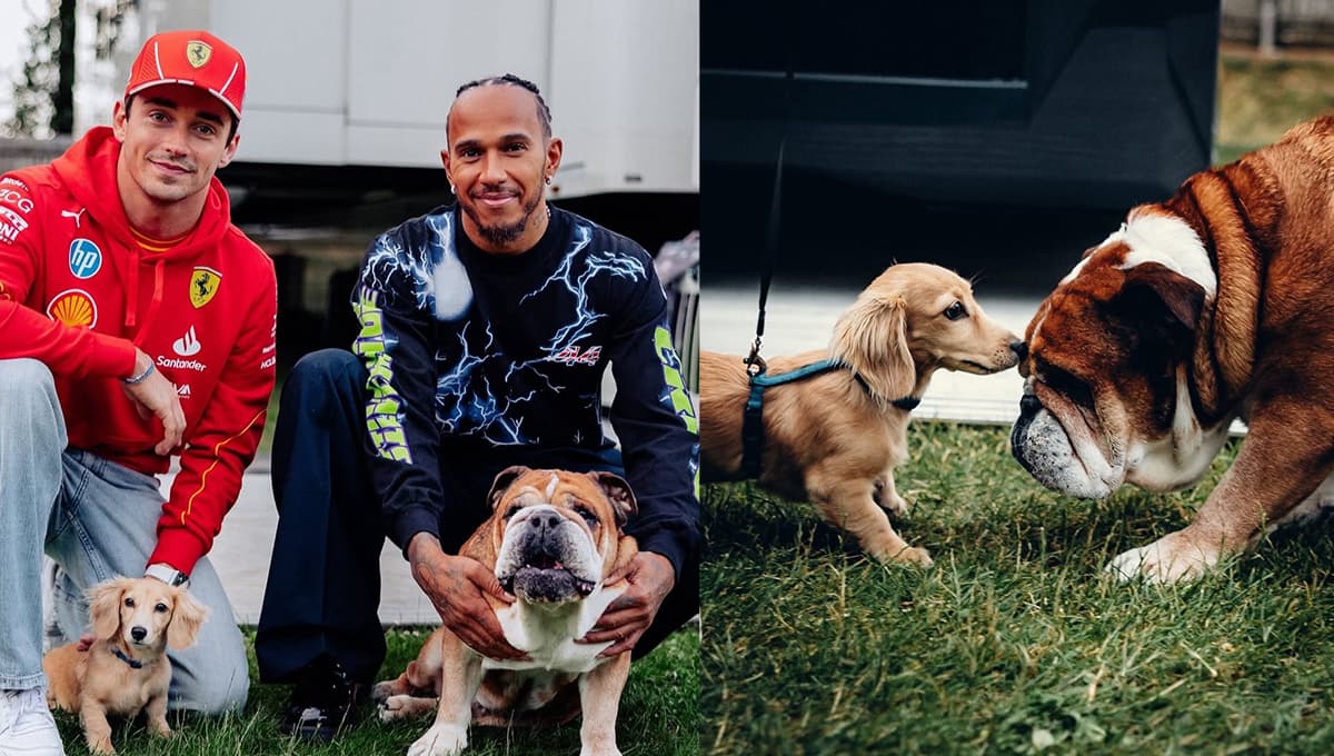 F1: ¿Quién es Roscoe Hamilton? El perro de la película