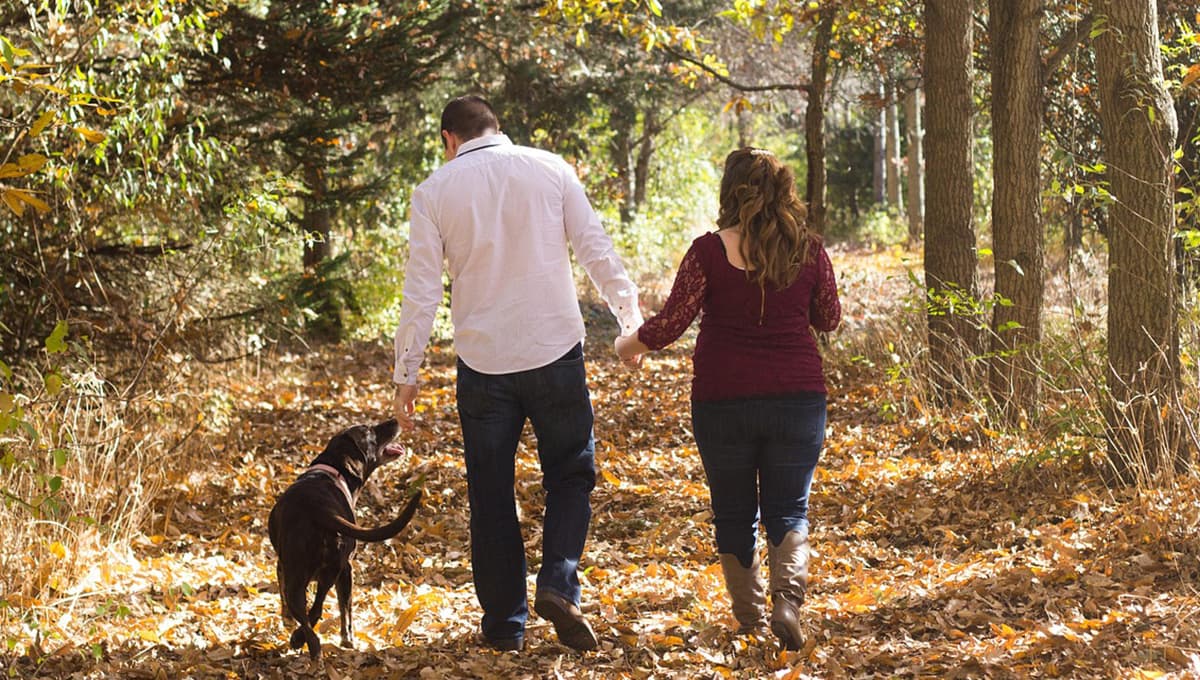 Juez en Estados Unidos declara como familia cercana a las mascotas